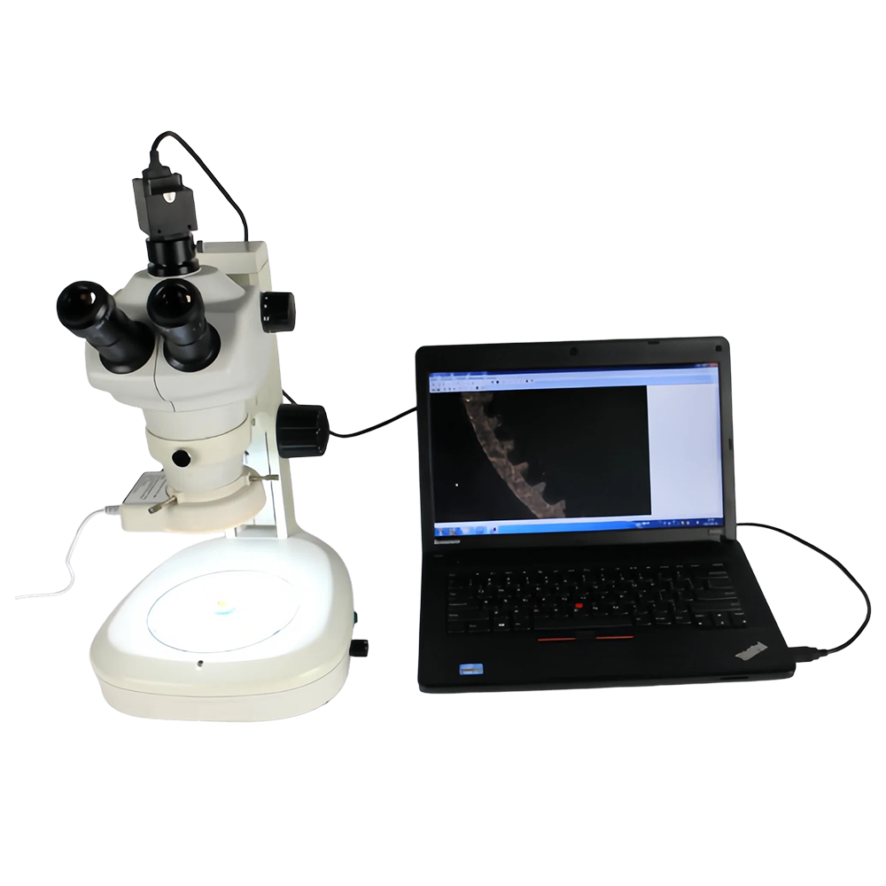 SM645S Stereo Microscope